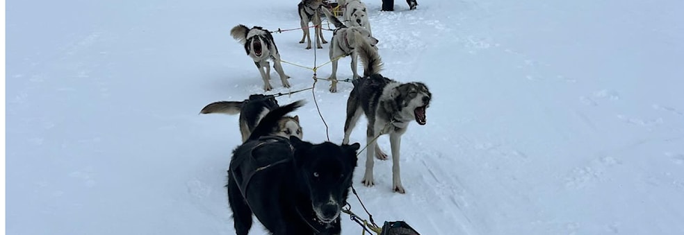 Vårtur